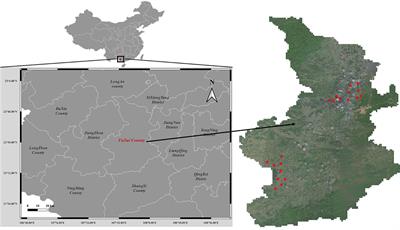 DSCA-PSPNet: Dynamic spatial-channel attention pyramid scene parsing network for sugarcane field segmentation in satellite imagery